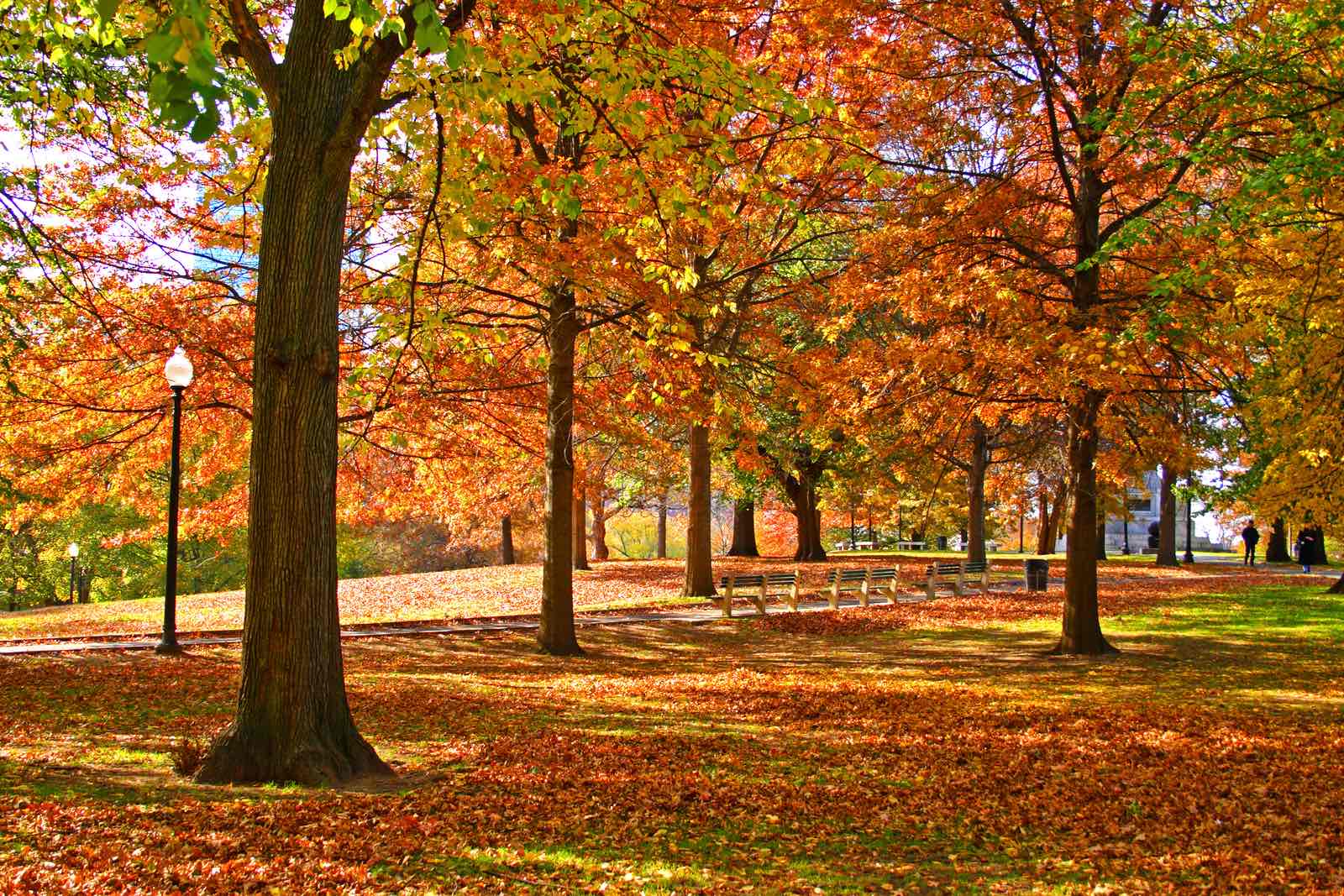 Autumn at One Greenway: Hot Spots for Fall Foliage